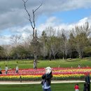 호수공원 육교앞 3주차장쪽 | <순천호수공원맛집> 하고스 후기 (+메뉴 3개!!)