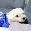 통일동물병원 이미지