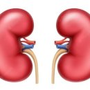 태릉정원내과의원 이미지