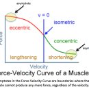 스포츠지도사 2급 - 운동생리학 이미지
