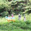 장단콩마을 이미지