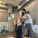 프리재