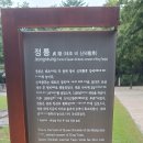 사우로 Daum카페