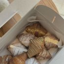 연향동물병원 | 2025년 설날과 그 이후 일상들 :)