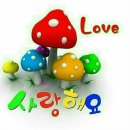 영동제일요양병원 이미지