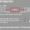 맘스터치파장 이미지
