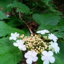 하늘빛 바다 이미지