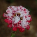 나와 나타샤와 흰당나귀 이미지