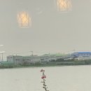 장어타운 - 구로구 남부순환로95길 34 | 장어타운
