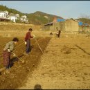 소라면 장척 이미지