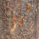 앞산주택 네이버블로그