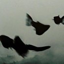 바람과노을