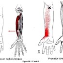 고덕한의원 이미지