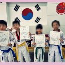 고려체대태권도 이미지