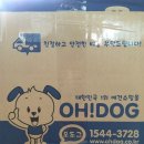 오도그 이미지