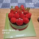 투썸 두초생 내돈내산 현장구매 성공! 🍓촉촉 도라방스 두바이 디저트 1등