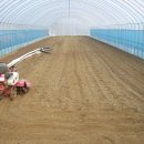 옥터농장 이미지