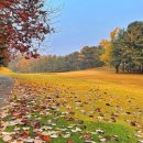 신원2로 이미지