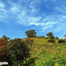 계양산 육각정 이미지