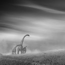 옛날옛적에 이미지