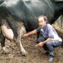 이세일목장 이미지