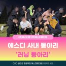 에스디팜 이미지