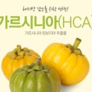 허니약국 이미지