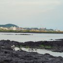 우도별이네민박