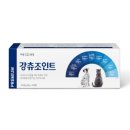 강아지PC 이미지