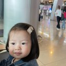 이지킨더어린이집 | 아기랑 제주도 여행 준비물 체크리스트(PDF 다운로드)