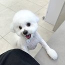 진접솔 동물병원 이미지