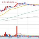 일성트레이딩 이미지