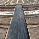 양태봉농장 이미지