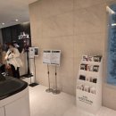 호텔 더 보타닉 세운 명동(A동) 이미지