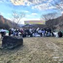 봉화강아지마을 이미지