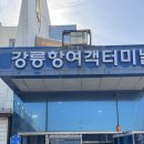 북면442 | #1 :: 서울에서 울릉도 가는 법 · 배편 예약 · 강릉항 · 포항 · 저동항 · 도동항 · 배 결항 후기