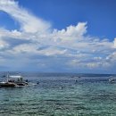 황강은빛백사장길 | 세부 오슬롭 고래상어 투어 모알보알 호핑투어 세부 자유 여행 필리핀