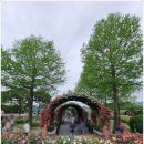 곡성-211 이미지