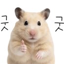 경주한채