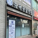 뉴욕동물병원 | 분당동물병원 오리역 뉴욕동물병원 중성화수술 후기