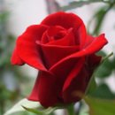 문수한의원 이미지