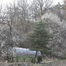 호동이농장 이미지