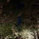 제주 와일드 이미지