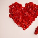 남북인연결혼 이미지