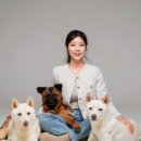조이나무