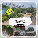 카페퀴너스 | 파주 프로방스 주말드라이브에도 막히지 않으서 드라이브하기 좋은 데이트장소