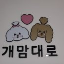 개맘대로 이미지