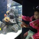 패밀리 아쿠아 이미지