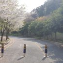홈플러스옆길 이미지