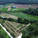 귀농인을 위한 완벽한 세팅, 영암 농업용토지 4,500평 이미지